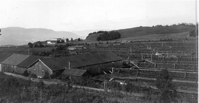 Strindens Torvstrøfabrikk før 1924