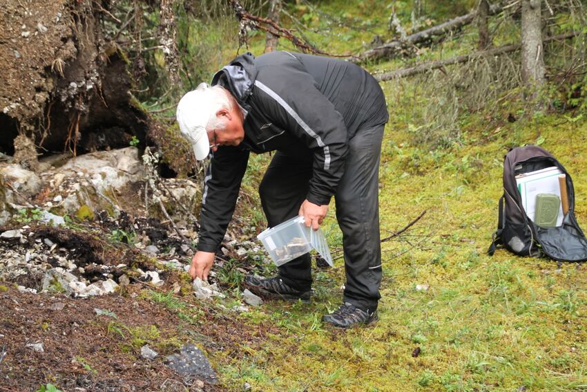 Gisle Rø plukker kalstein. Foto: Jan Habberstad 2014